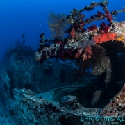 Wreck dive