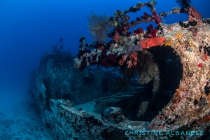 Wreck dive