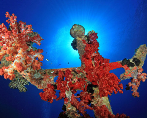 Dive Fiji Wreck in Sunlight