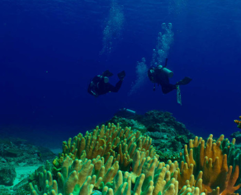 Dive Fiji Divers in Space
