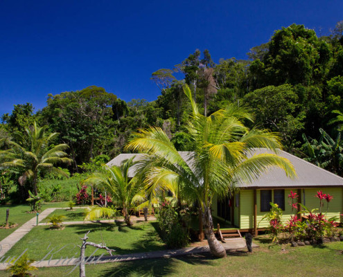 Fiji Resort Accommodation Deluxe Ocean Front Bures