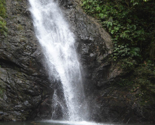 Fiji Waterfall Jump Waidroka Resort