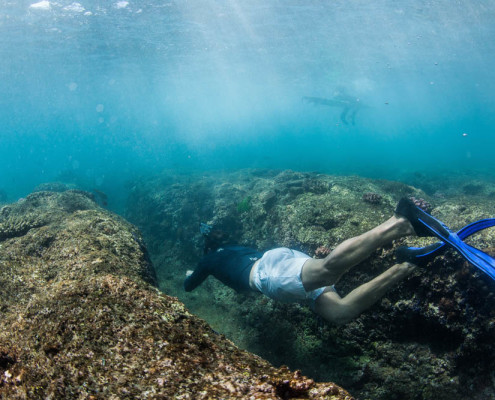 Fiji Activities Snorkel Waidroka