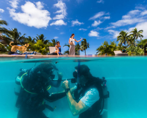 Fiji Dive Pool Resort Waidroka