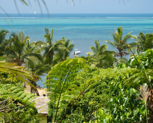 Fiji Resort The View