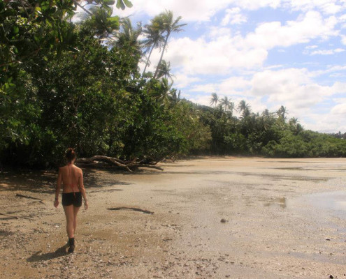 Fiji Resort Low Tide Mangrove Walk