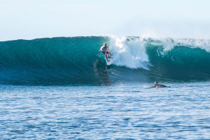 Surf Fiji Pure Speed to the Right