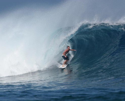 Surf Fiji Frigates Pure