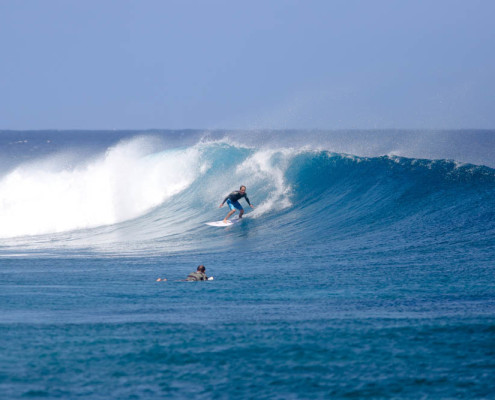 Surfing in Fiji Frigates Fun