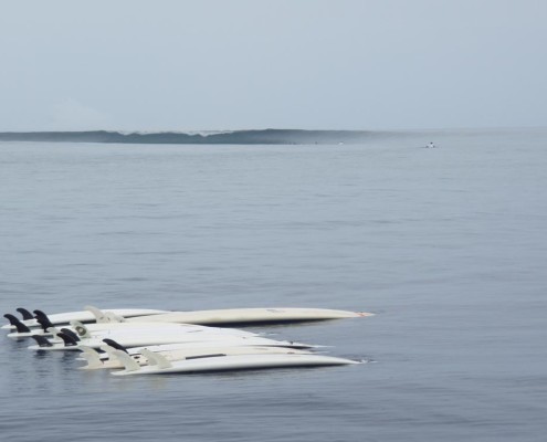 Surf in Fiji Glassy and Clean Frigates