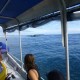 Surf in Fiji Surf Boat on Mooring