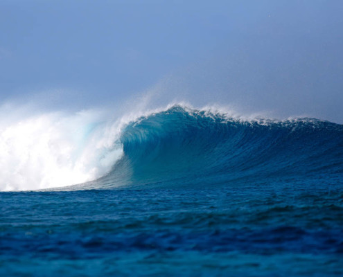 Surfing Fiji Frigates Raw