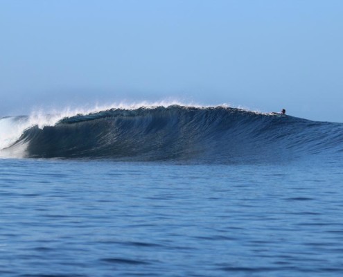 Surfing Fiji Pipe