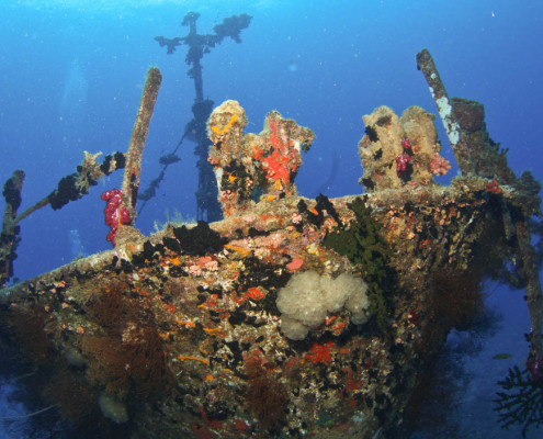 Wreck Diving Fiji Underwater Growth